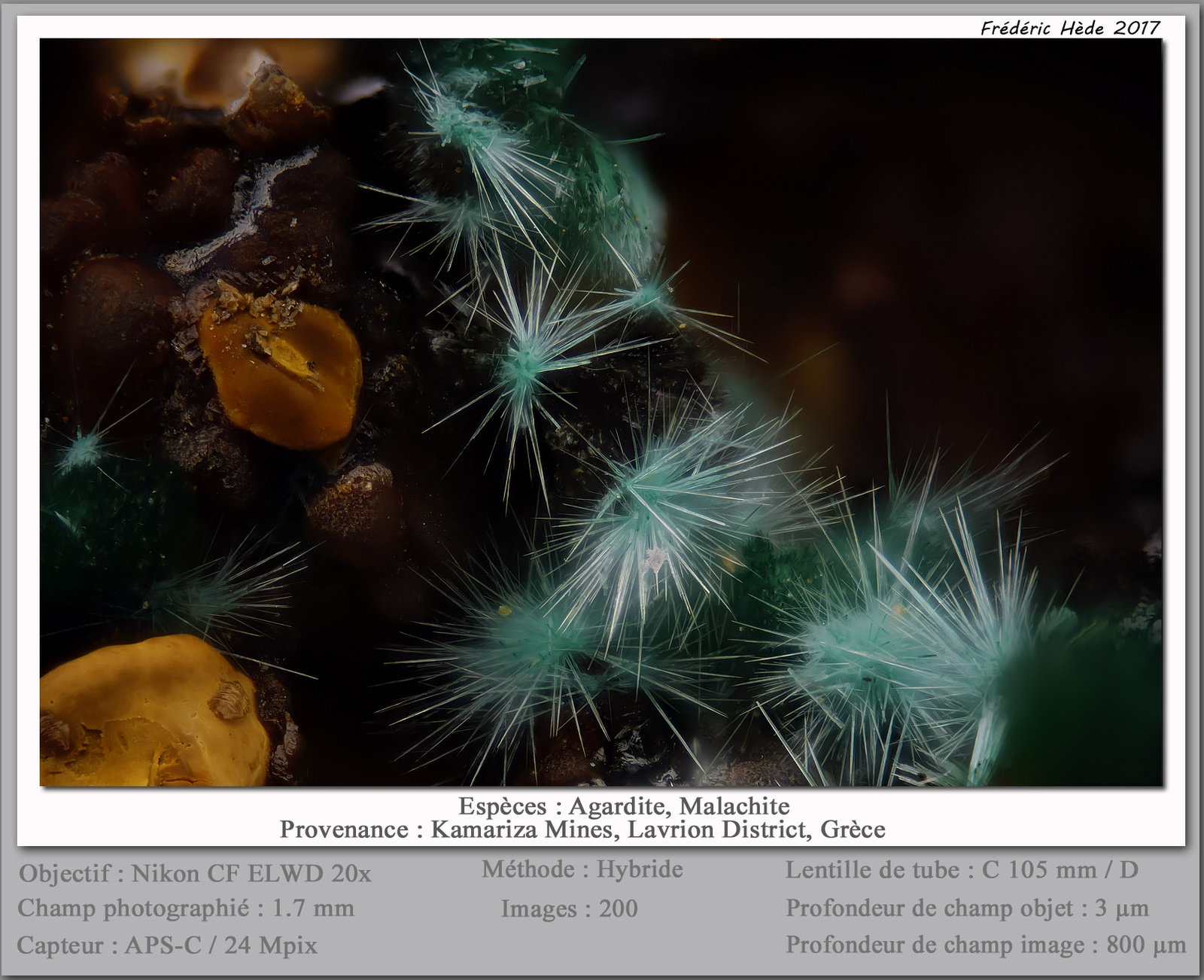 Agardite (Series) with Malachite
Fov 1.7 mm
(Autor: ploum)