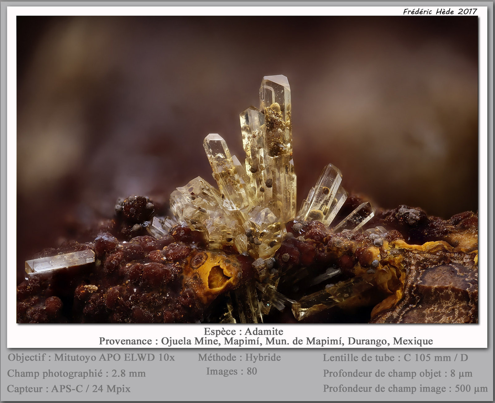 Adamite
fov 2.8 mm
(Autor: ploum)