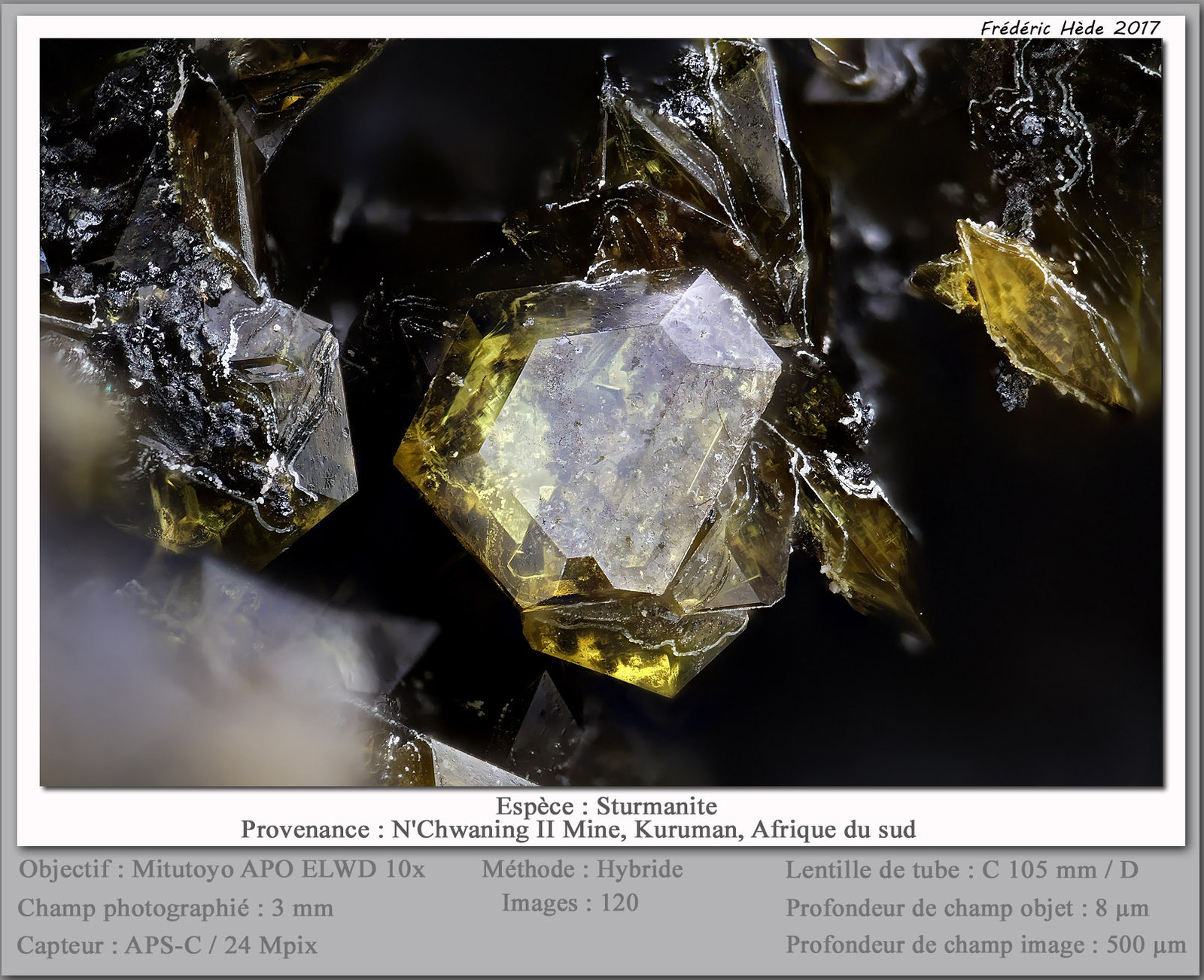 Sturmanite
fov 3 mm
(Autor: ploum)
