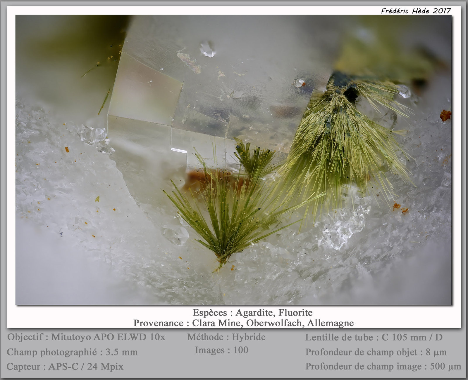 Agardite (Series) on Fluorite
fov 3.5 mm
(Autor: ploum)