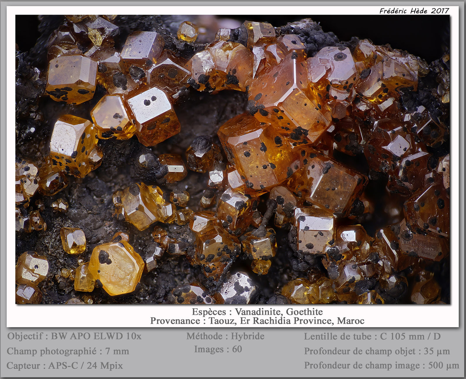 Vanadinite and Goethite
fov 7 mm
(Autor: ploum)