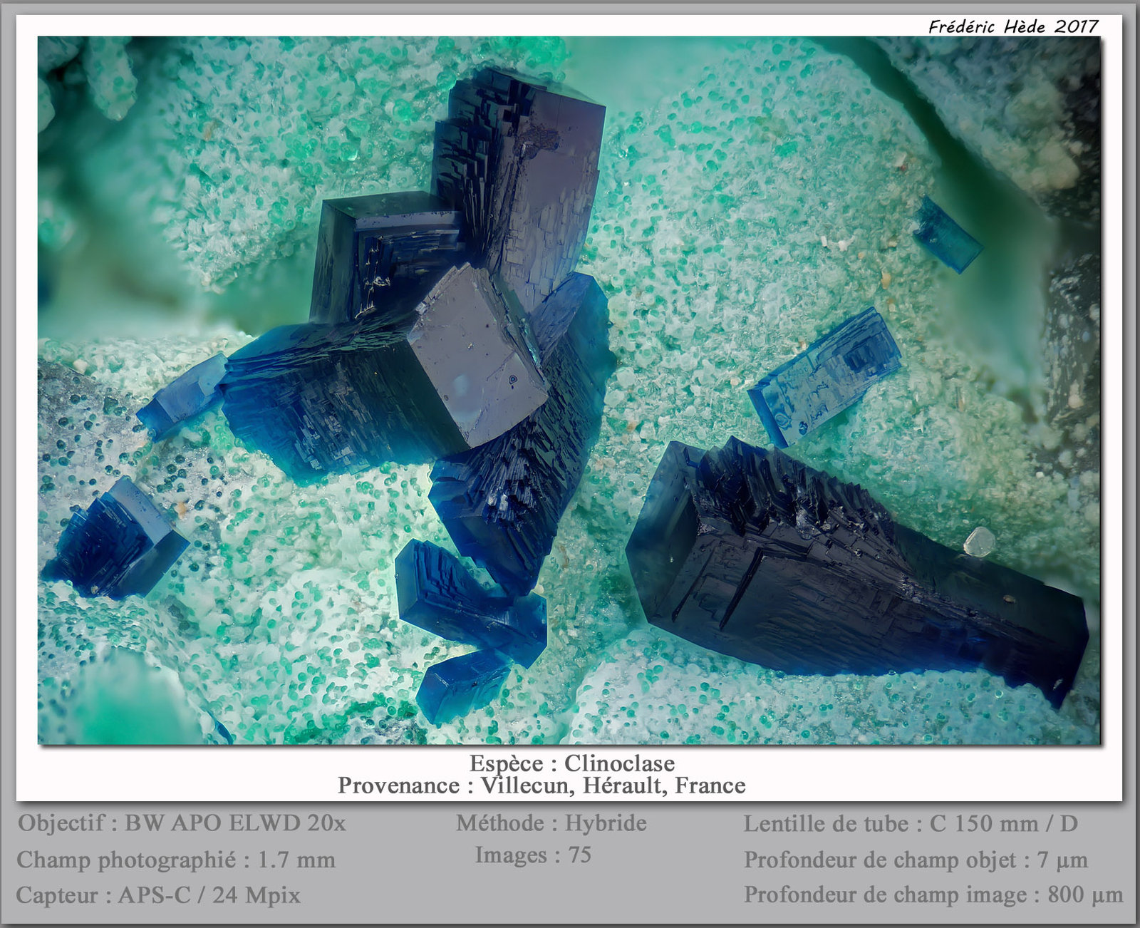 Clinoclase
fov 1.7 mm
(Autor: ploum)