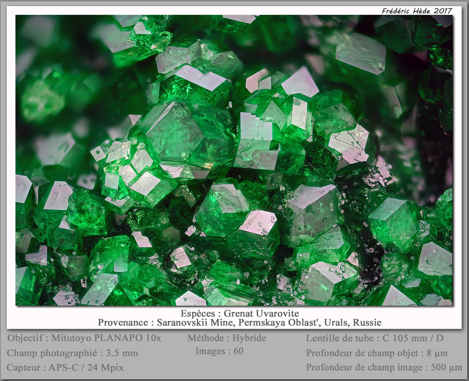 Uvarovite
fov 3.5 mm
(Autor: ploum)