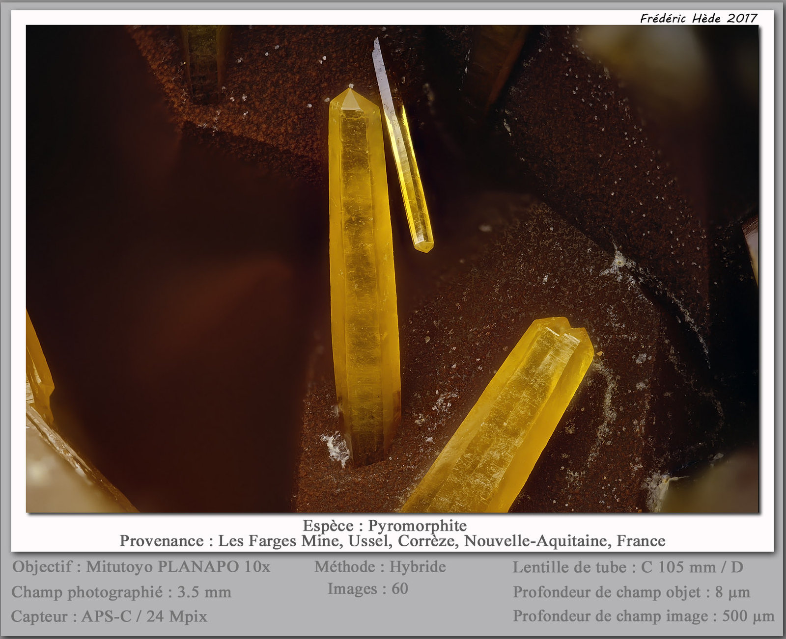 Pyromorphite
fov 3.5 mm
(Autor: ploum)