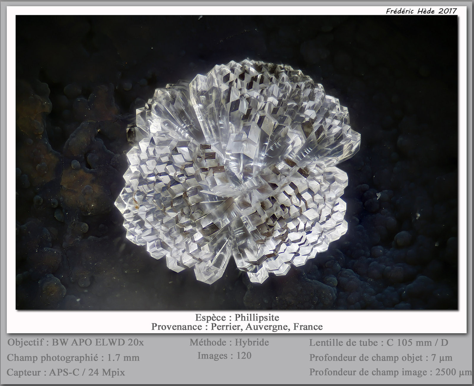 Phillipsite
fov 1.7 mm
(Autor: ploum)