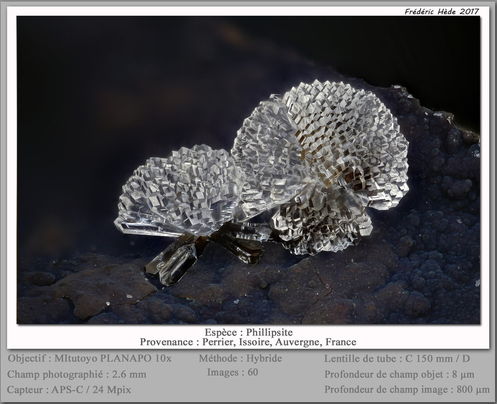 Phillipsite
fov 2.6 mm
(Autor: ploum)