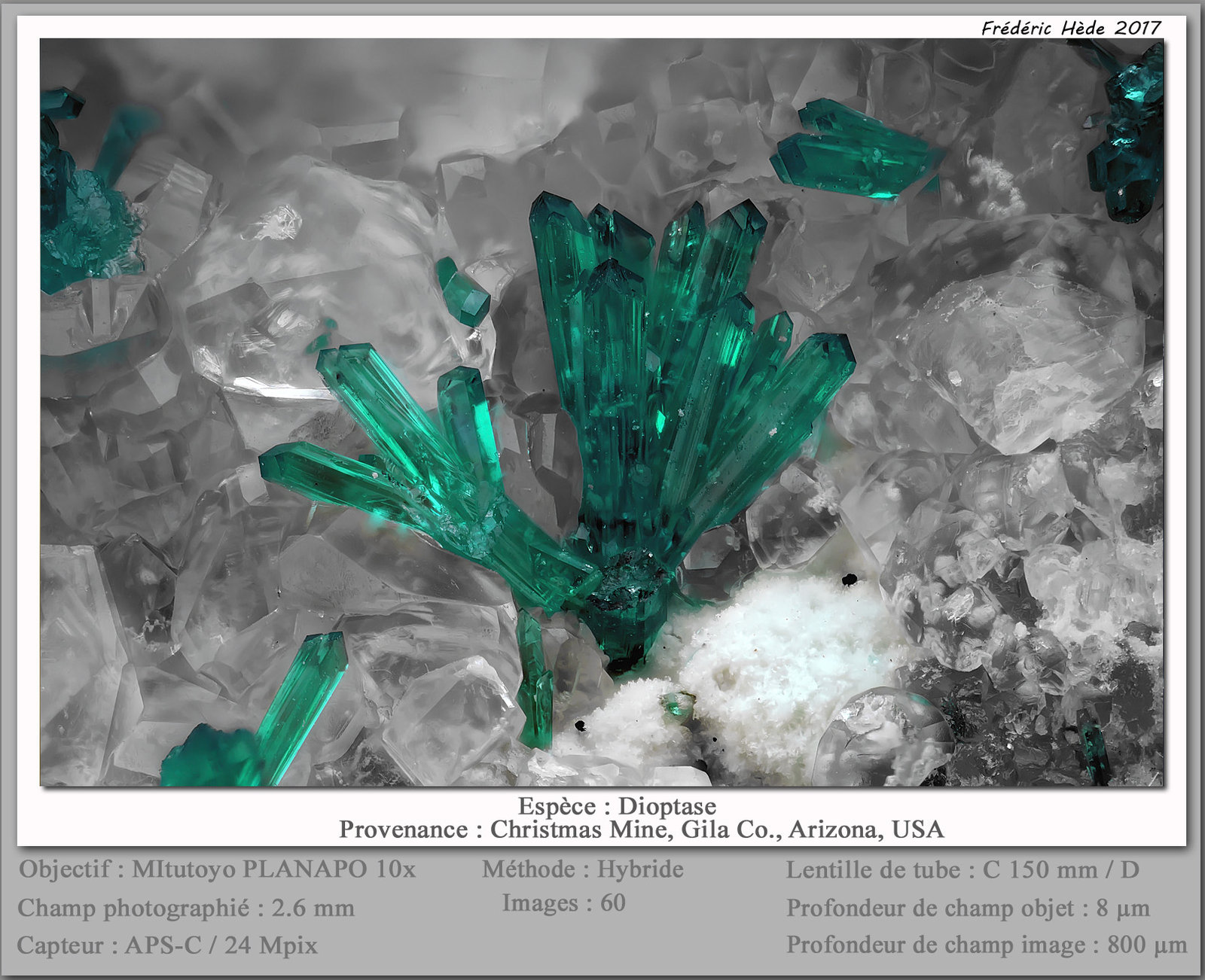 Dioptase on Calcite
fov 2.6 mm
(Autor: ploum)