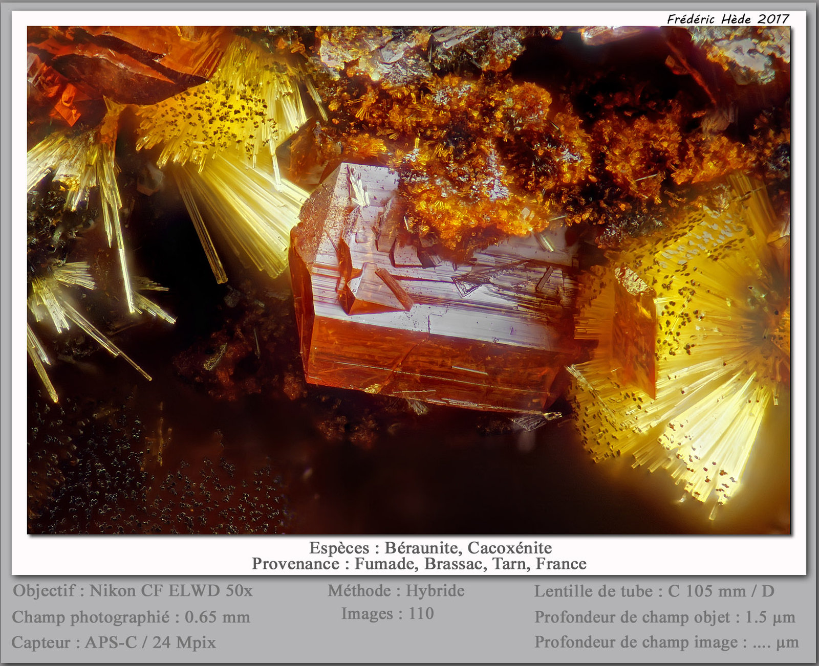 Beraunite and Cacoxenite
fov 0.65 mm
(Autor: ploum)