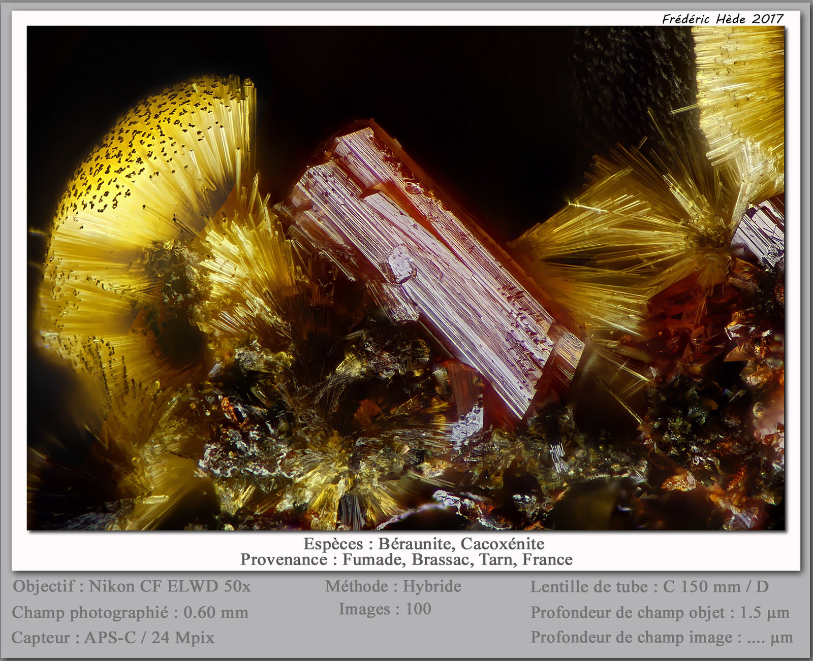 Beraunite and Cacoxenite
fov 0.6 mm
(Autor: ploum)