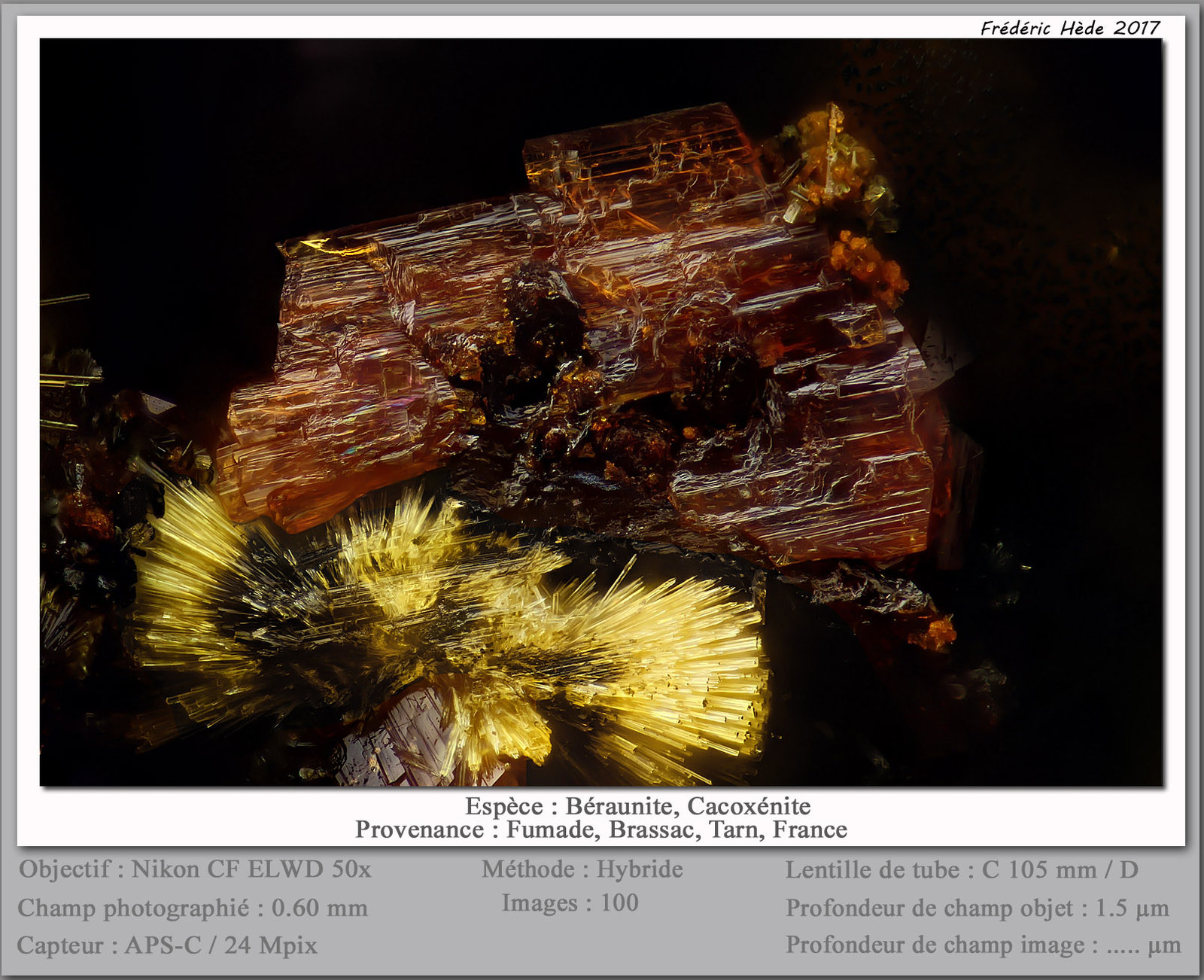 Beraunite and Cacoxenite
fov 0.6 mm
(Autor: ploum)