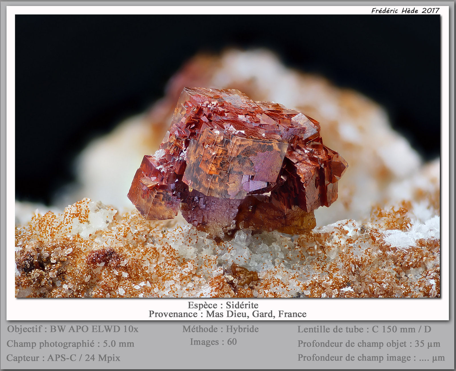 Siderite
fov 5 mm
(Autor: ploum)