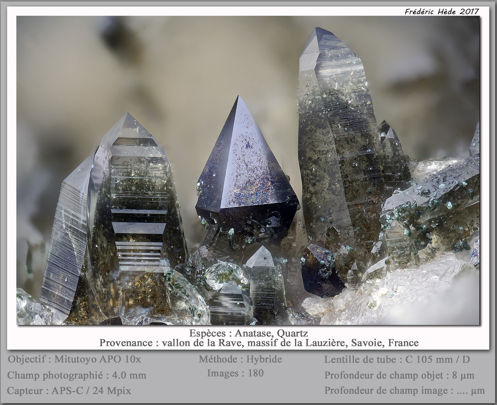 Anatase
fov 4.0 mm
(Autor: ploum)