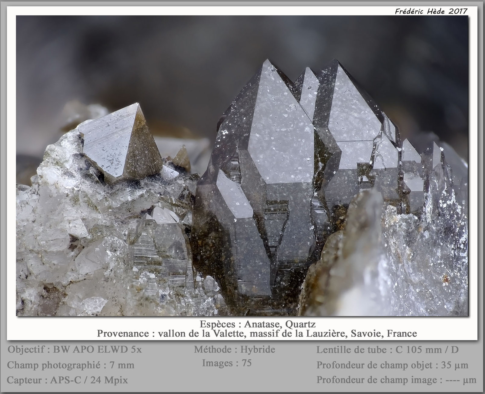 Anatase
fov 7 mm
(Autor: ploum)