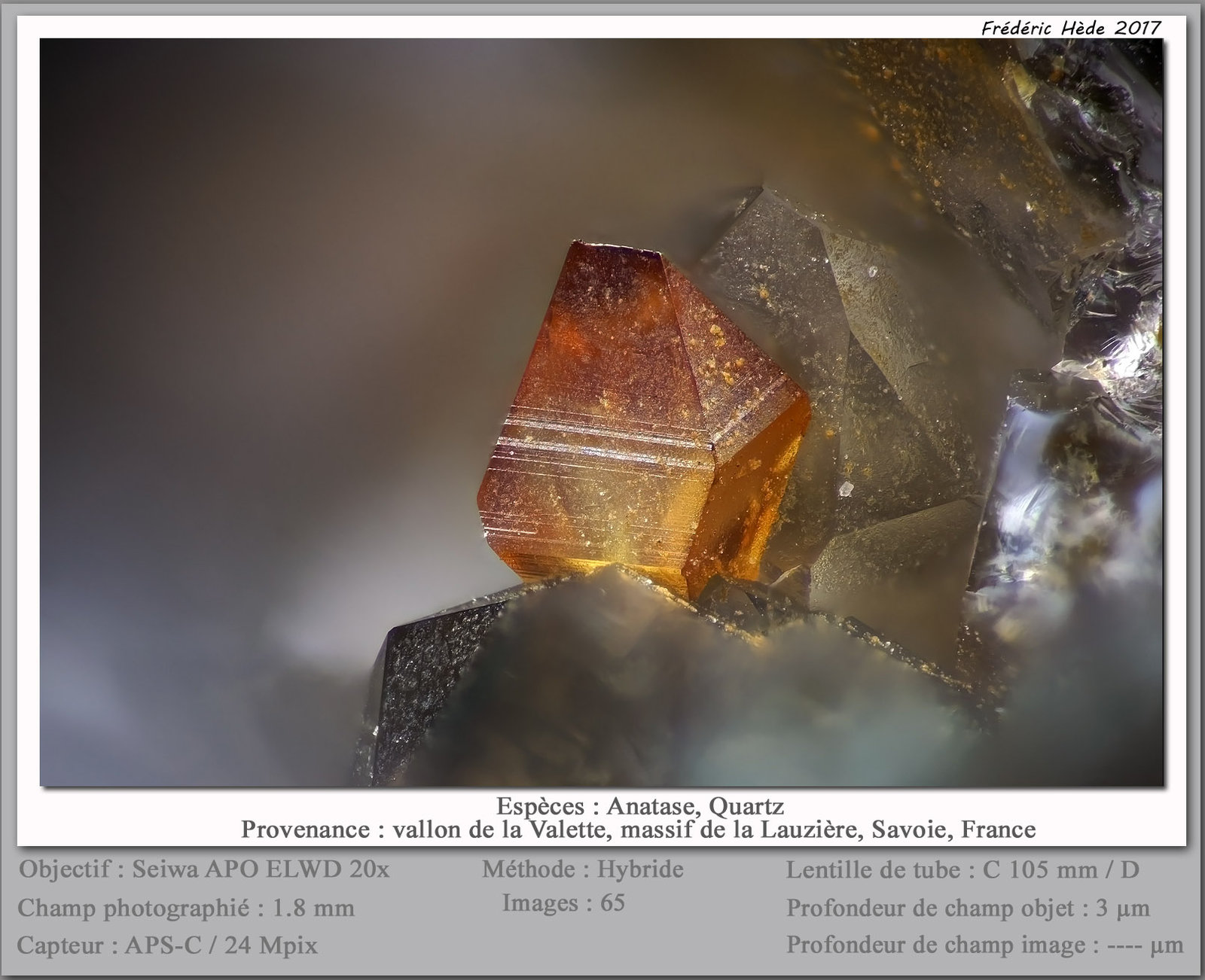 Anatase
fov 1.8 mm
(Autor: ploum)