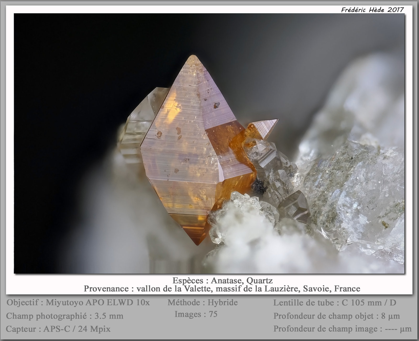 Anatase
fov 3.5 mm
(Autor: ploum)