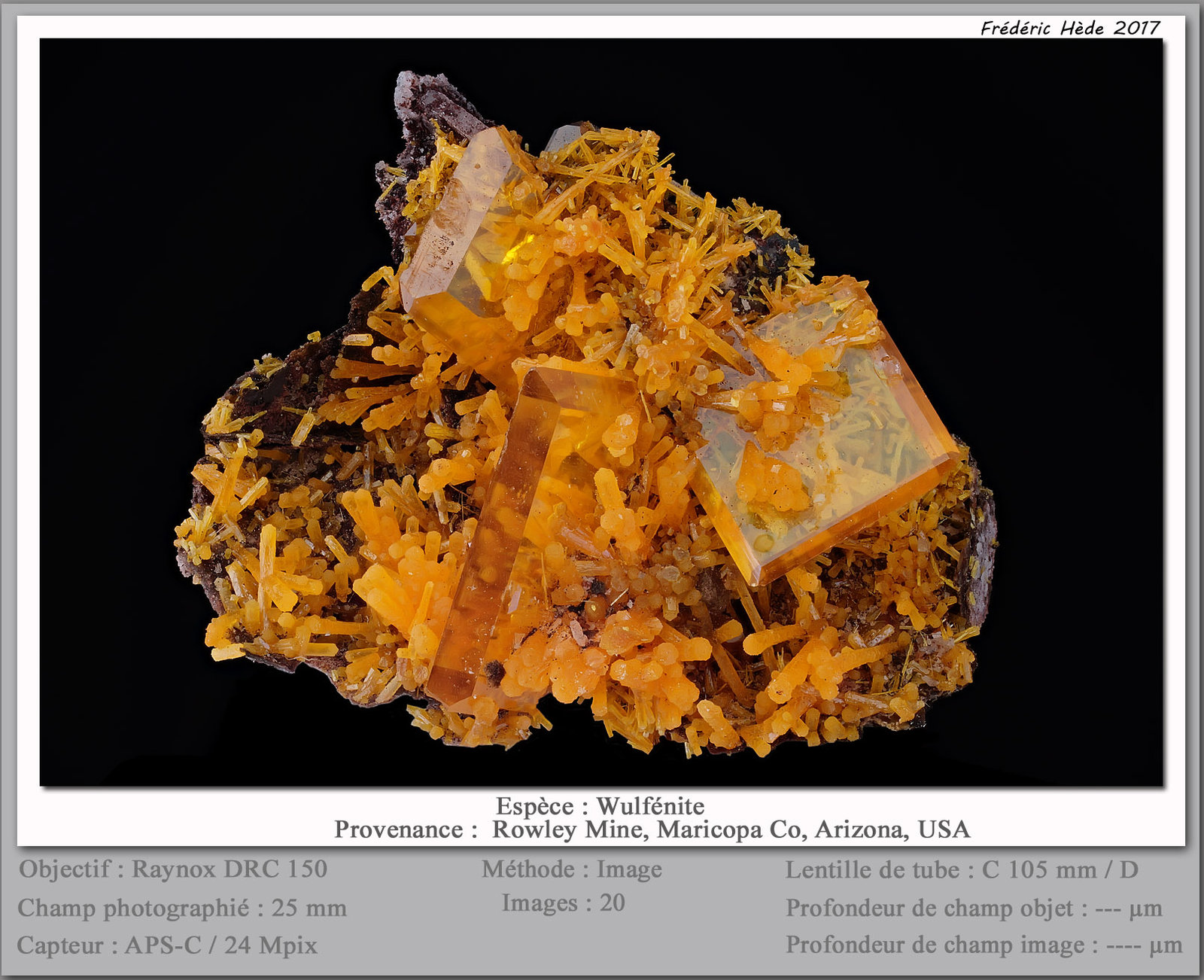 Wulfenite and Mimetite
fov 25 mm
(Autor: ploum)