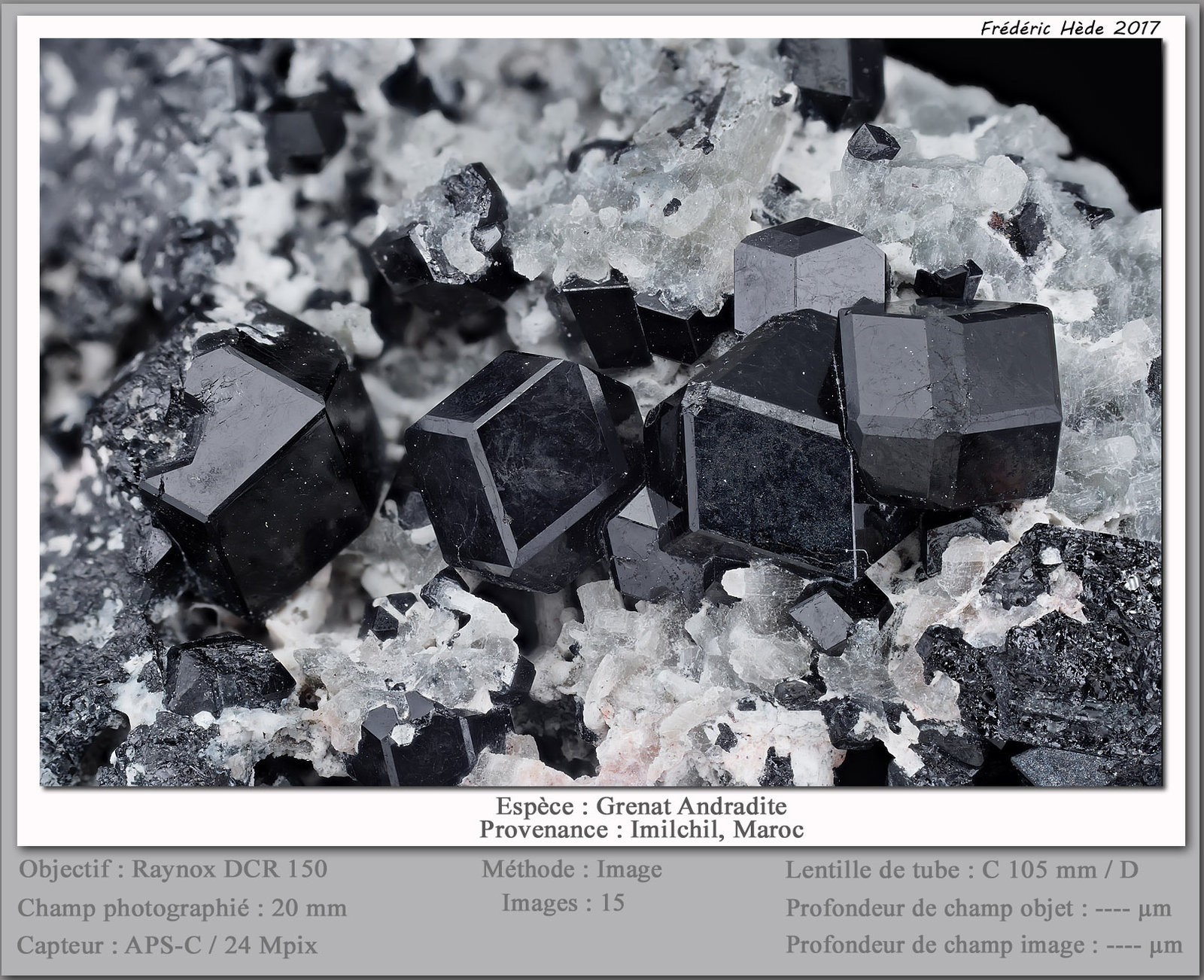 Andradite
fov 20 mm
(Autor: ploum)