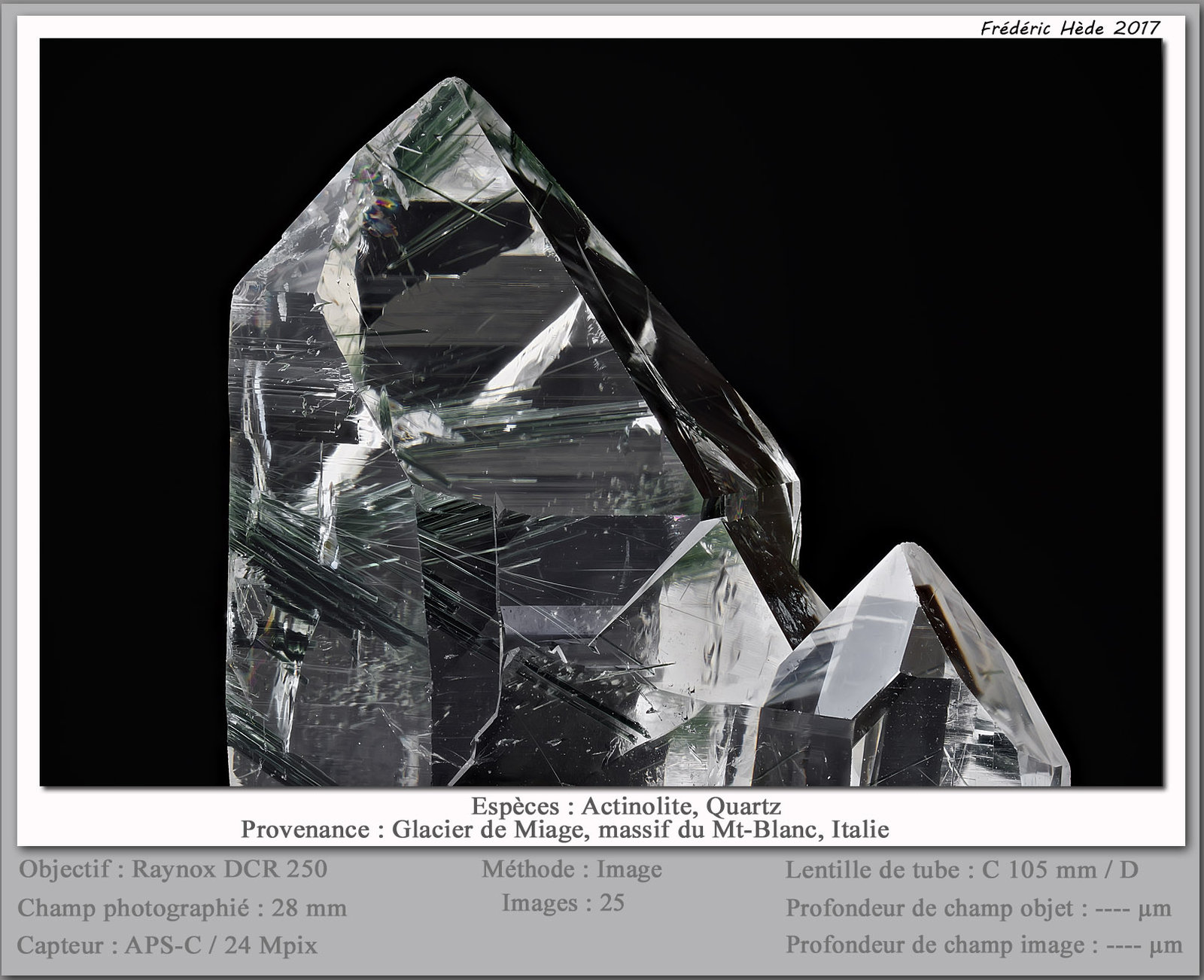 Actinolite in Quartz
fov 30 mm
(Autor: ploum)