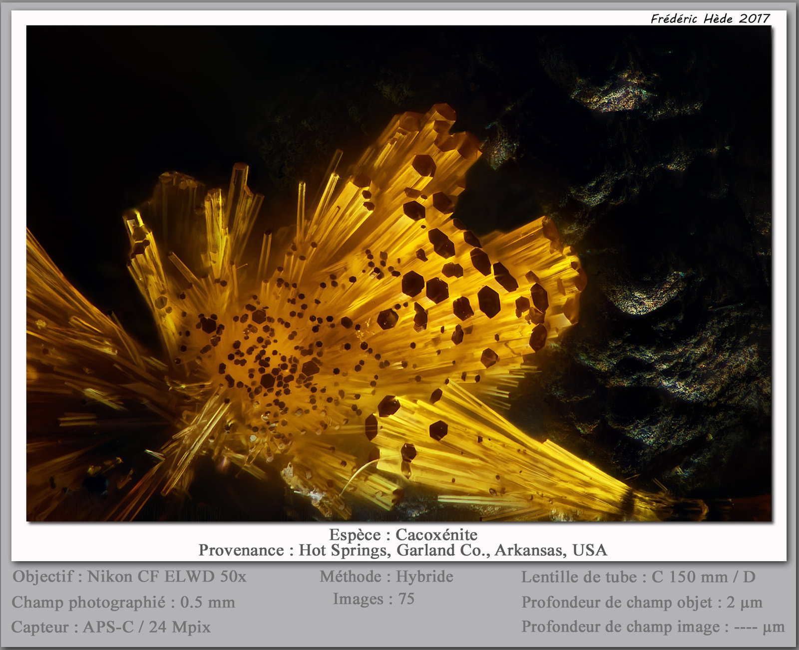 Cacoxenite
fov 0.50 mm
(Autor: ploum)