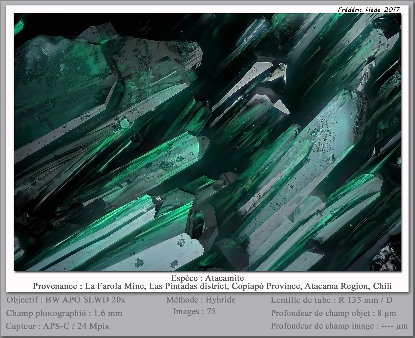 Atacamite
fov 1.6 mm
(Autor: ploum)