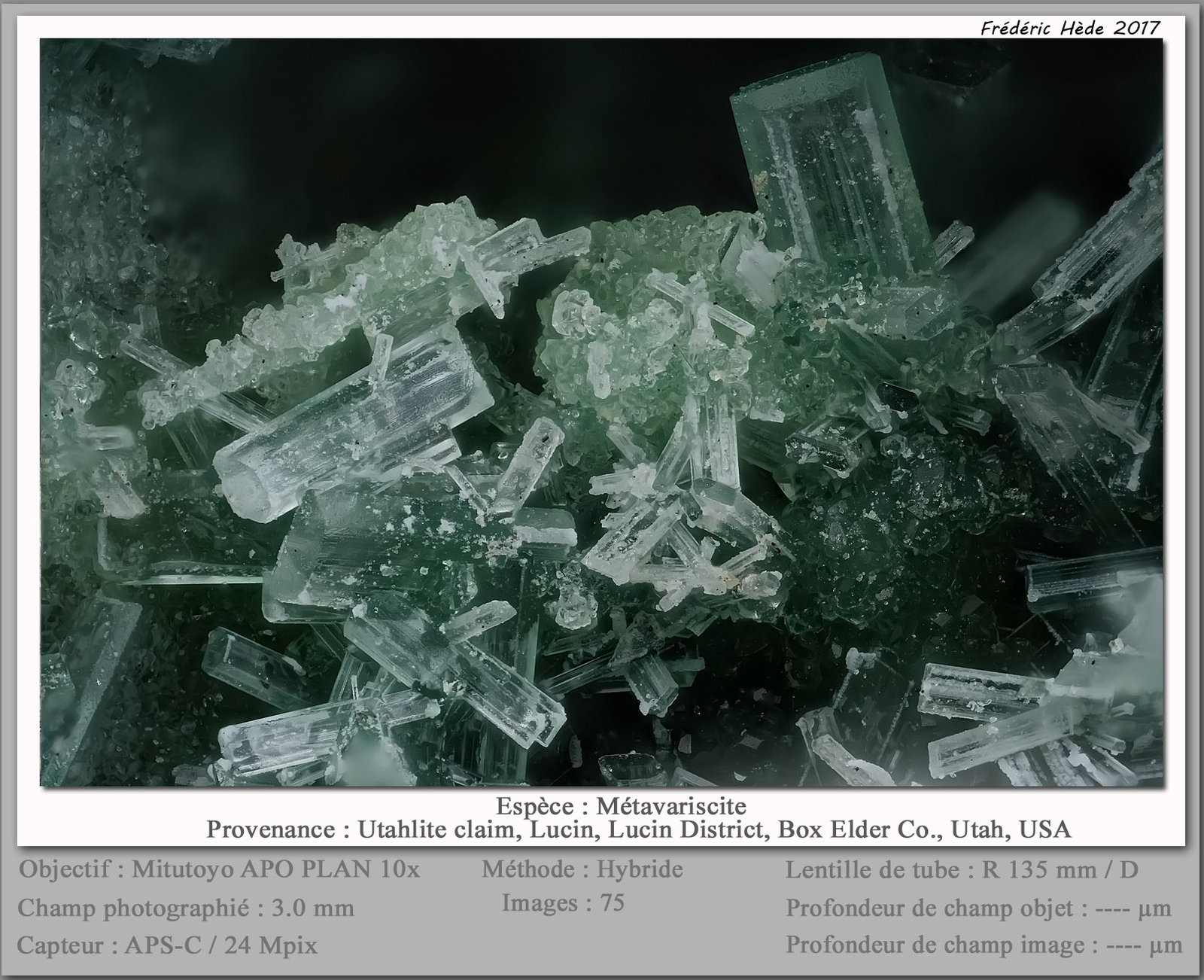 Metavariscite
fov 3 mm
(Autor: ploum)