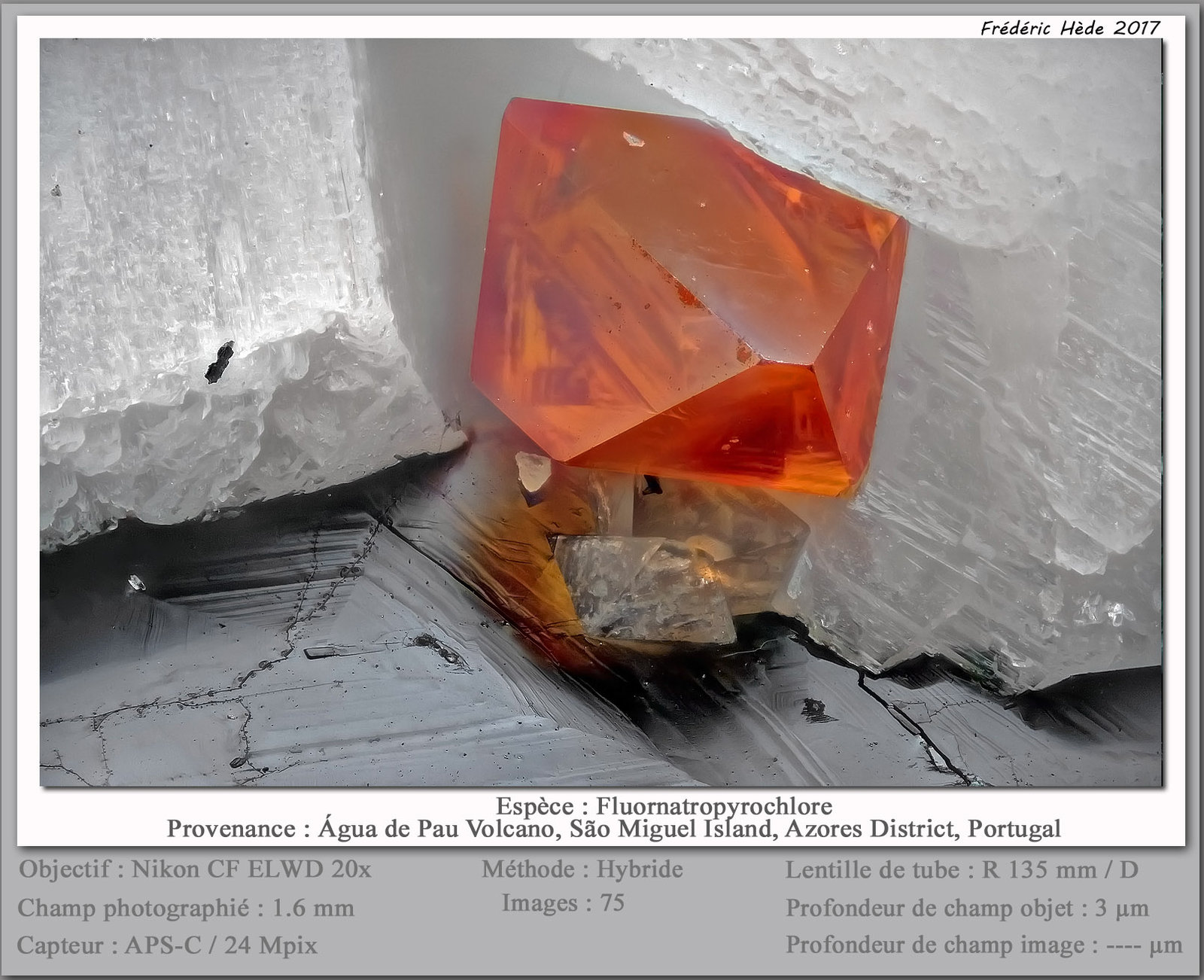 Fluornatropyrochlore
fov 1.6 mm
(Autor: ploum)