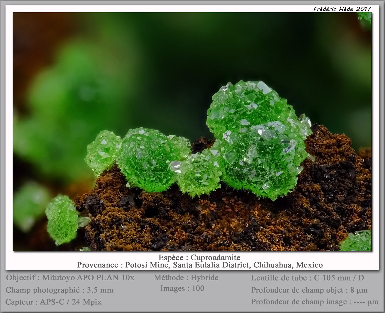 Adamite (variety cuprian)
fov 3.5 mm
(Autor: ploum)