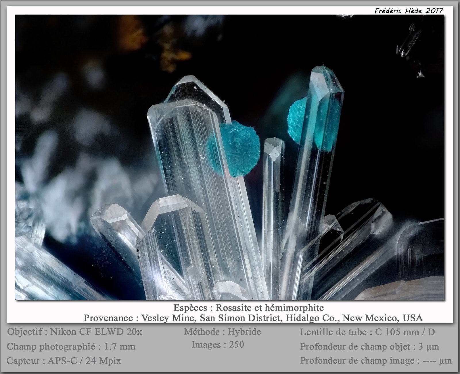 Rosasite on Hemimorphite
fov 1.7 mm
(Autor: ploum)
