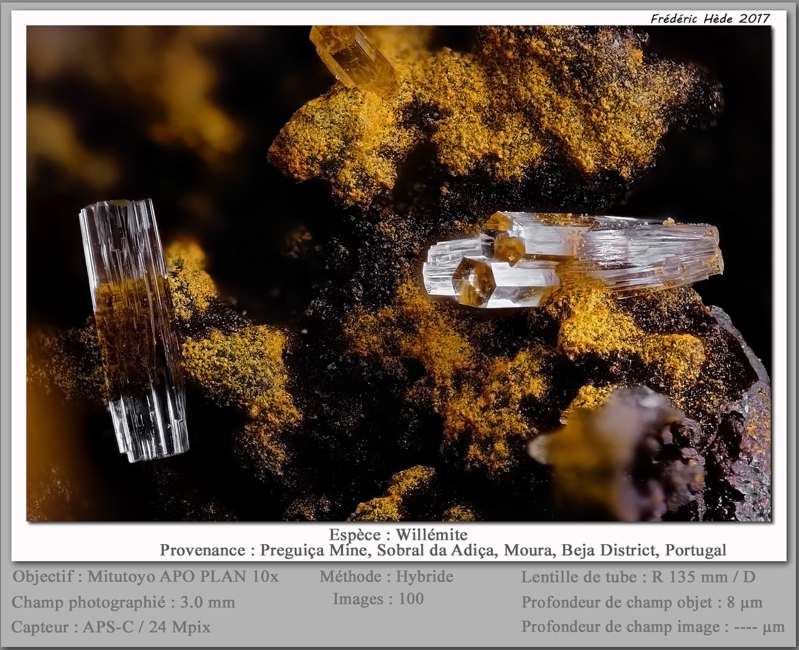 Willemite
fov 3 mm
(Autor: ploum)