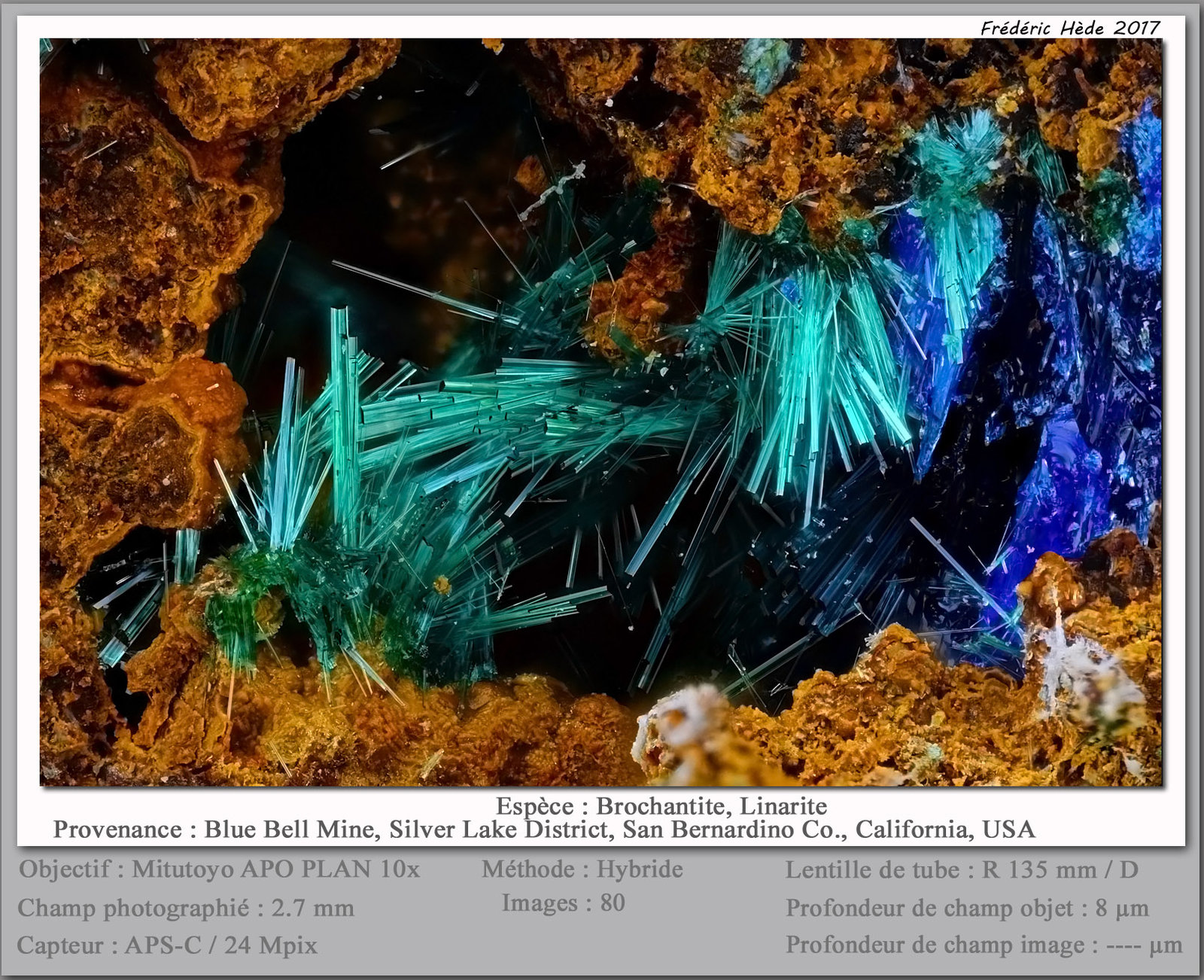 Brochantite
fov 2.7 mm
(Autor: ploum)