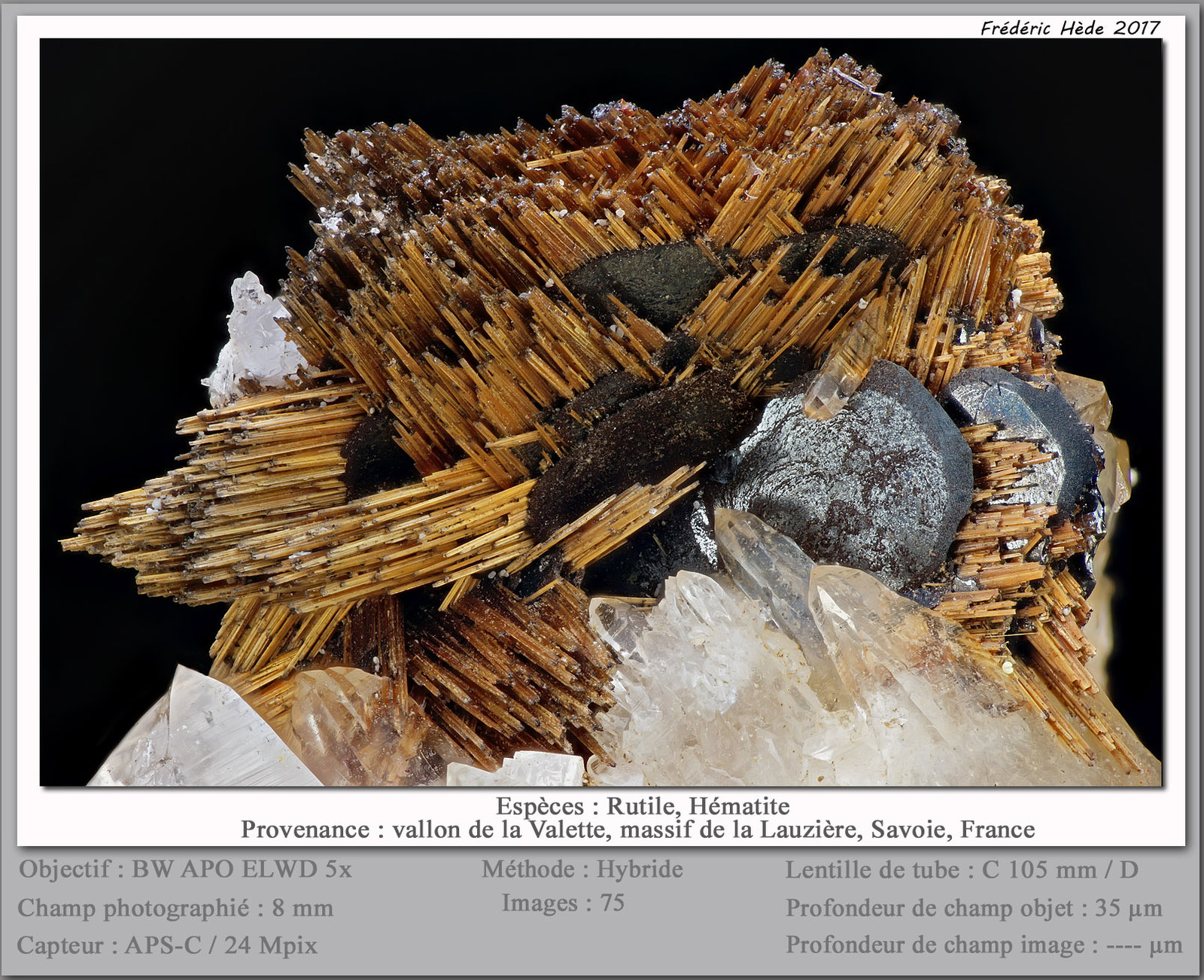 Rutile and Hematite
fov 8 mm
(Autor: ploum)