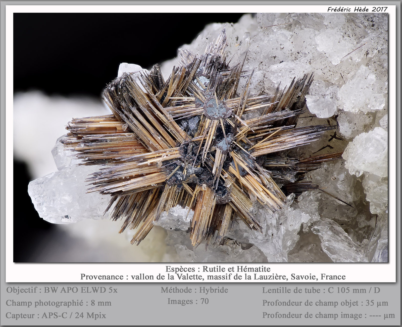 Rutile and Hematite
fov 8 mm
(Autor: ploum)