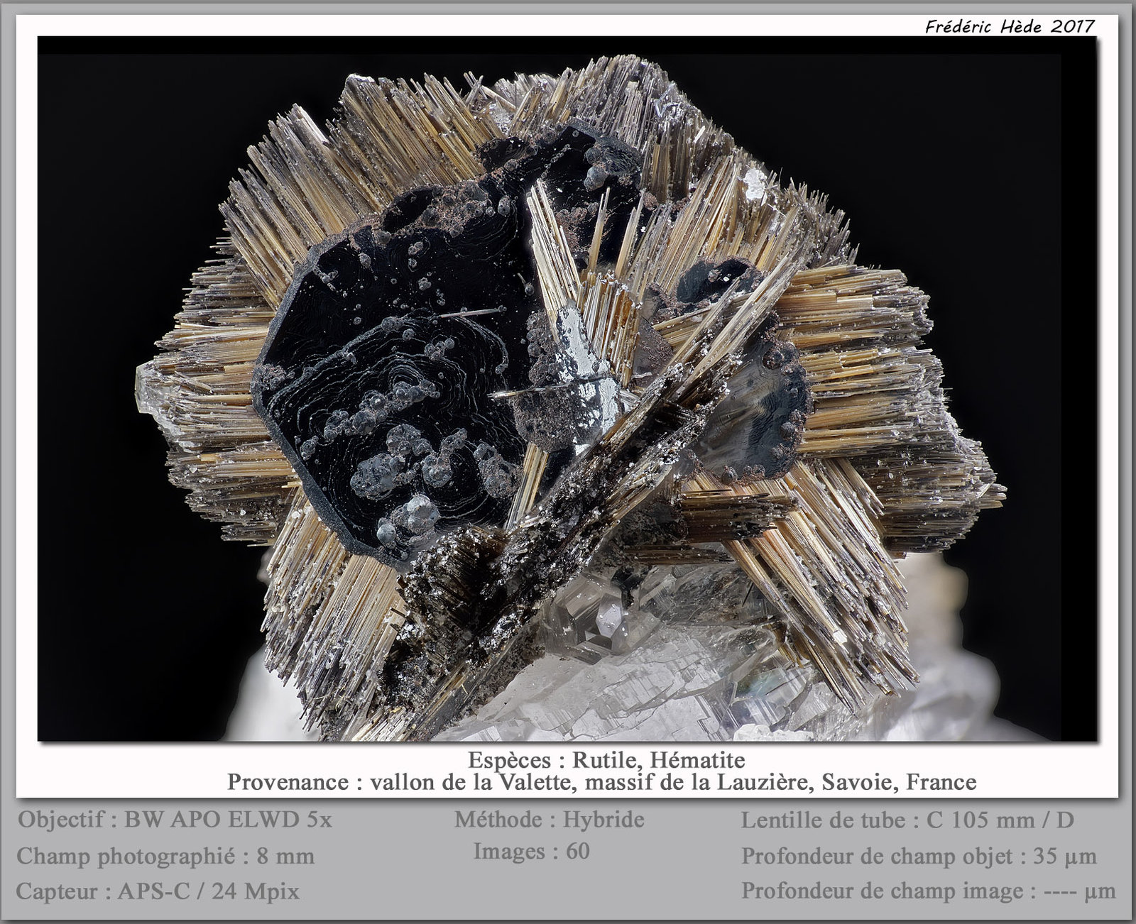 Rutile and Hematite
fov 8 mm
(Autor: ploum)