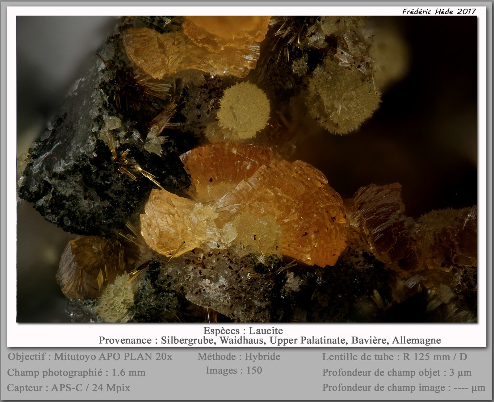 Laueite
fov 1.6 mm
(Autor: ploum)