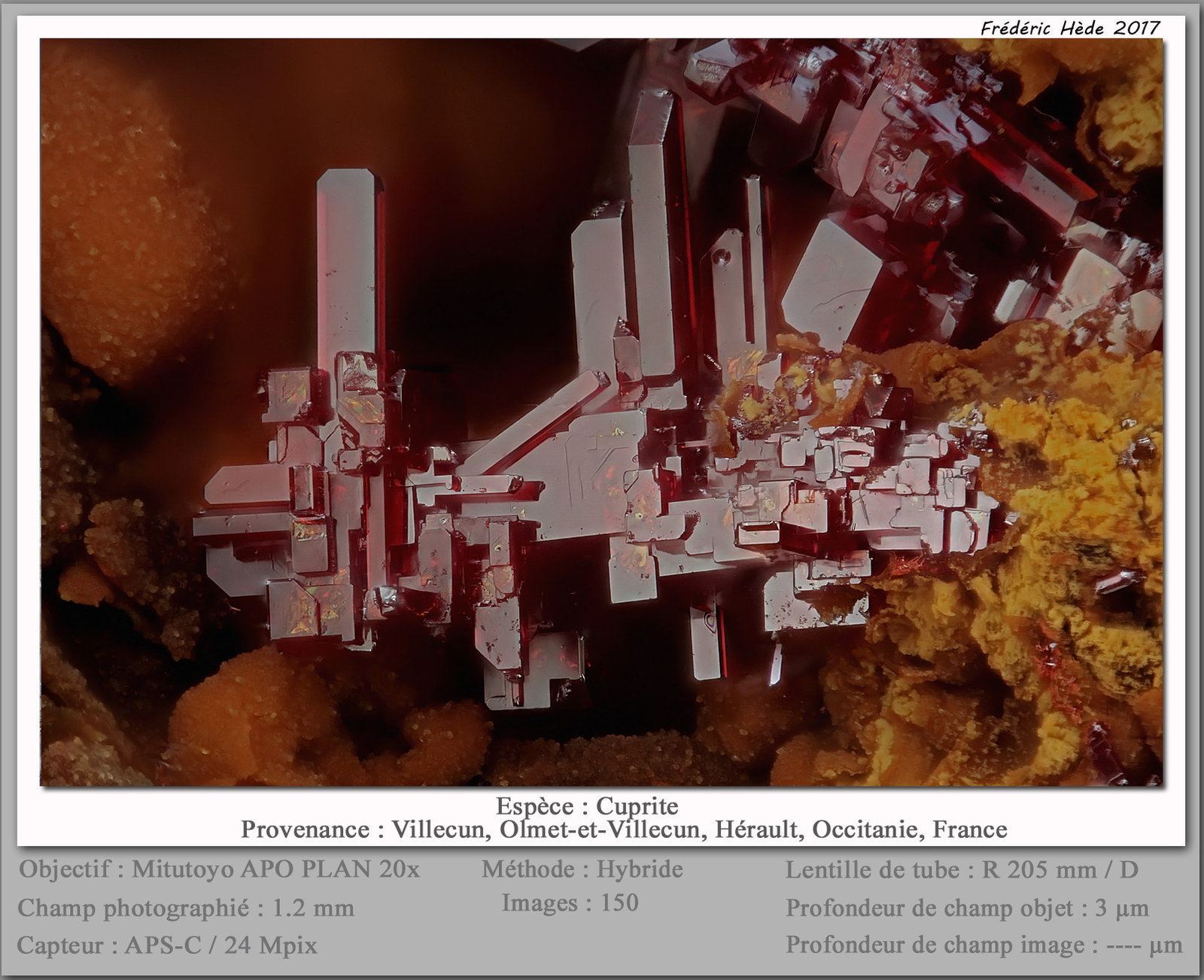 Cuprite
fov 1.2 mm
(Autor: ploum)