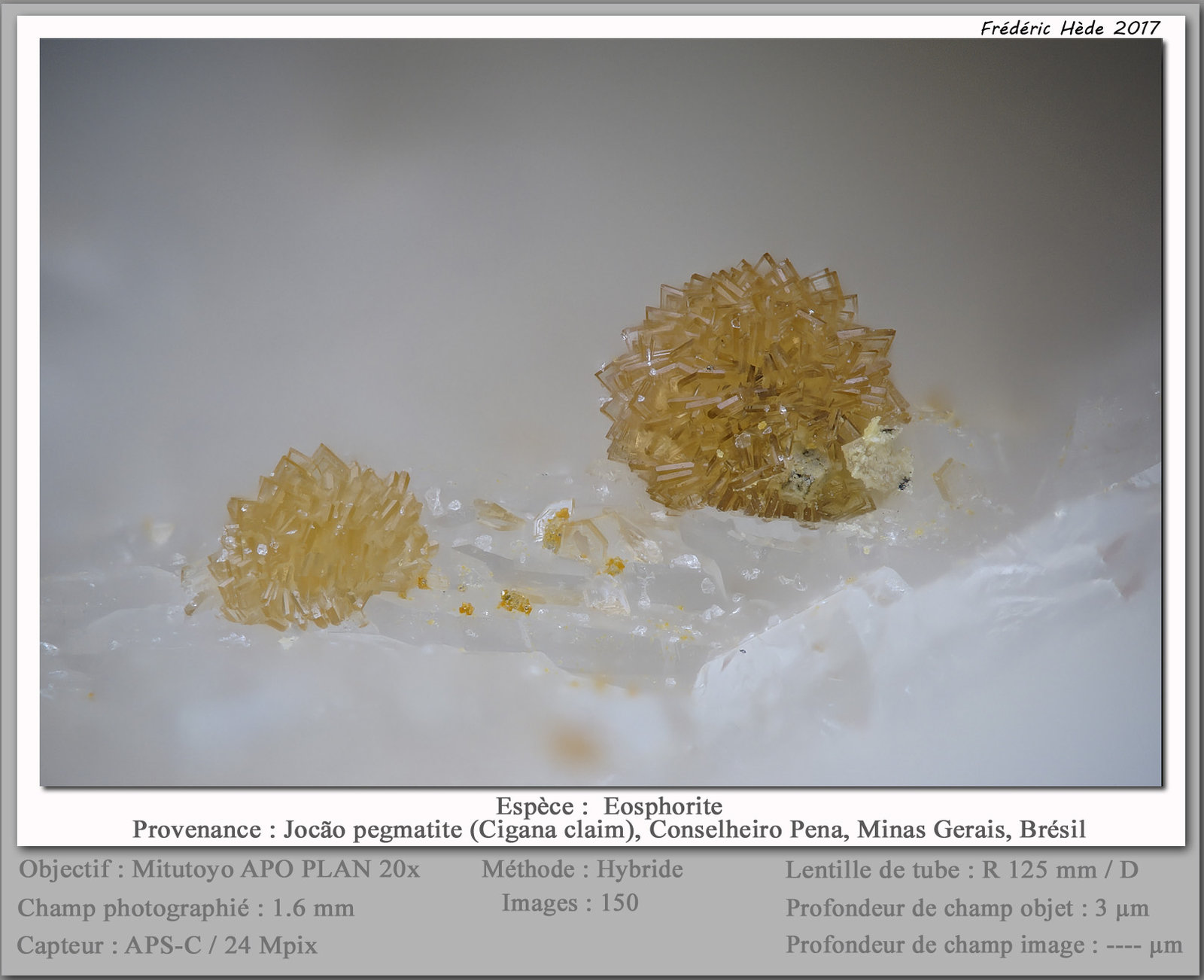 Eosphorite
fov 1.6 mm
(Autor: ploum)