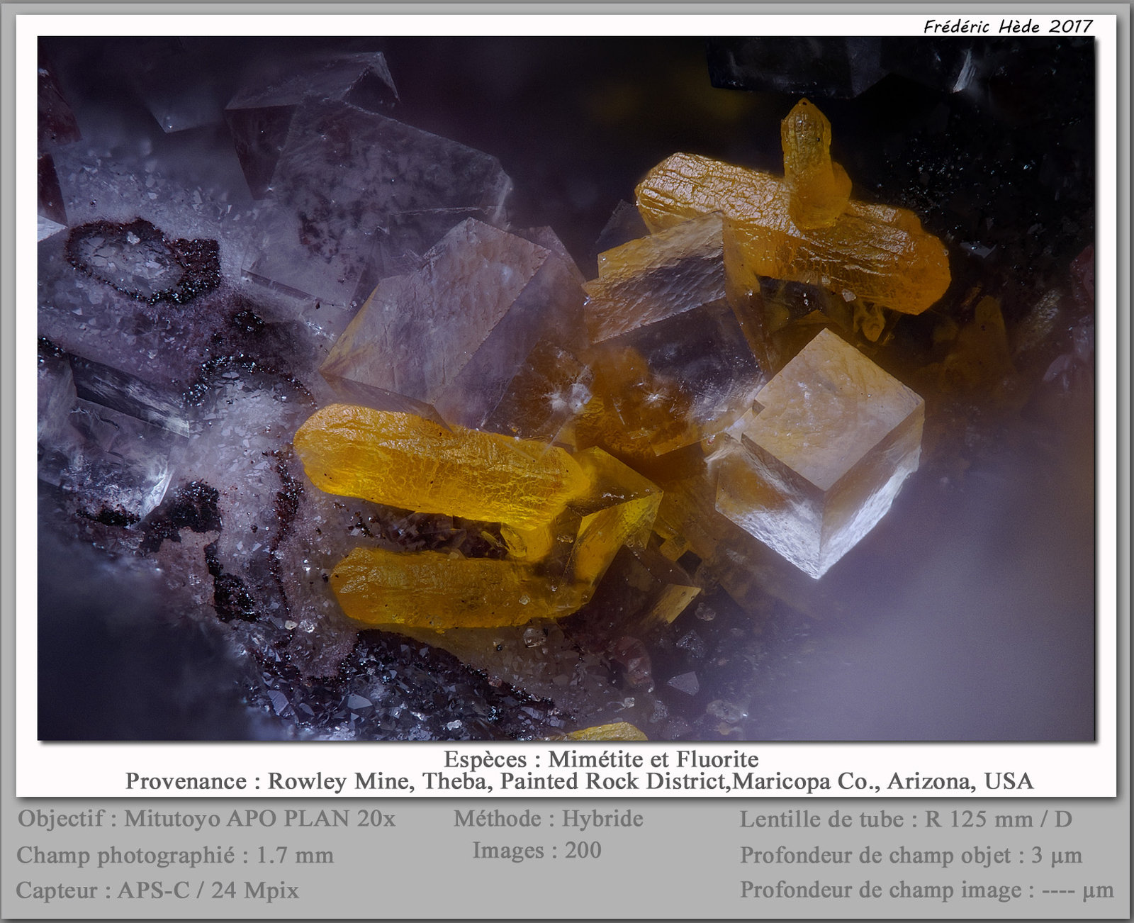 Mimetite and Fluorite
fov 1.7 mm
(Autor: ploum)