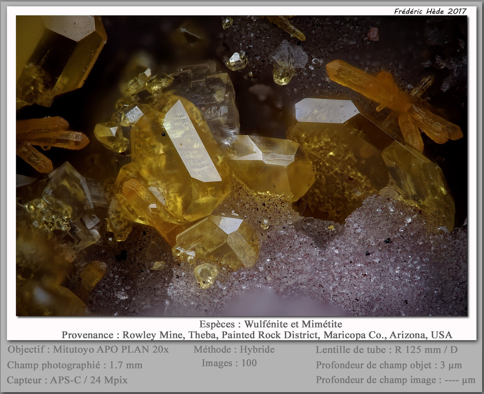 Wulfenite and Mimetite
fov 1.7 mm
(Autor: ploum)