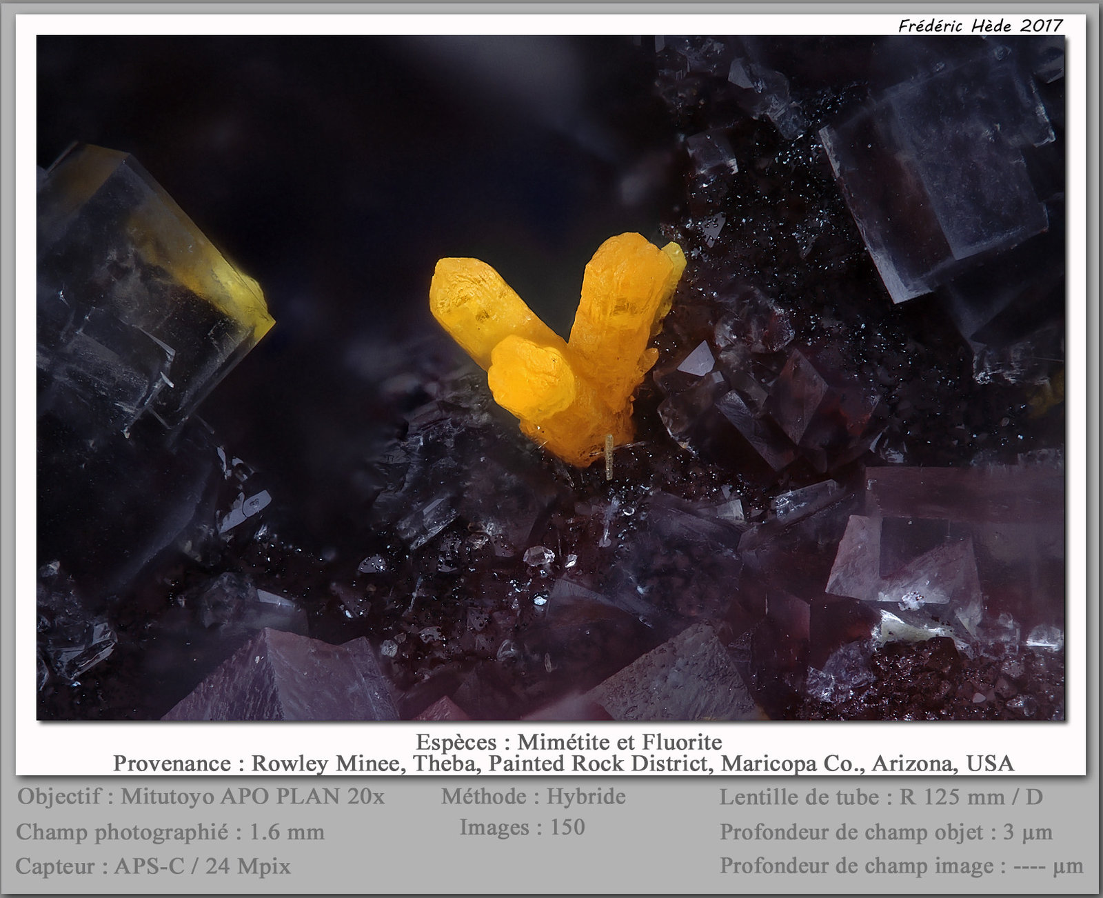 Mimetite and Fluorite
fov 1.6 mm
(Autor: ploum)