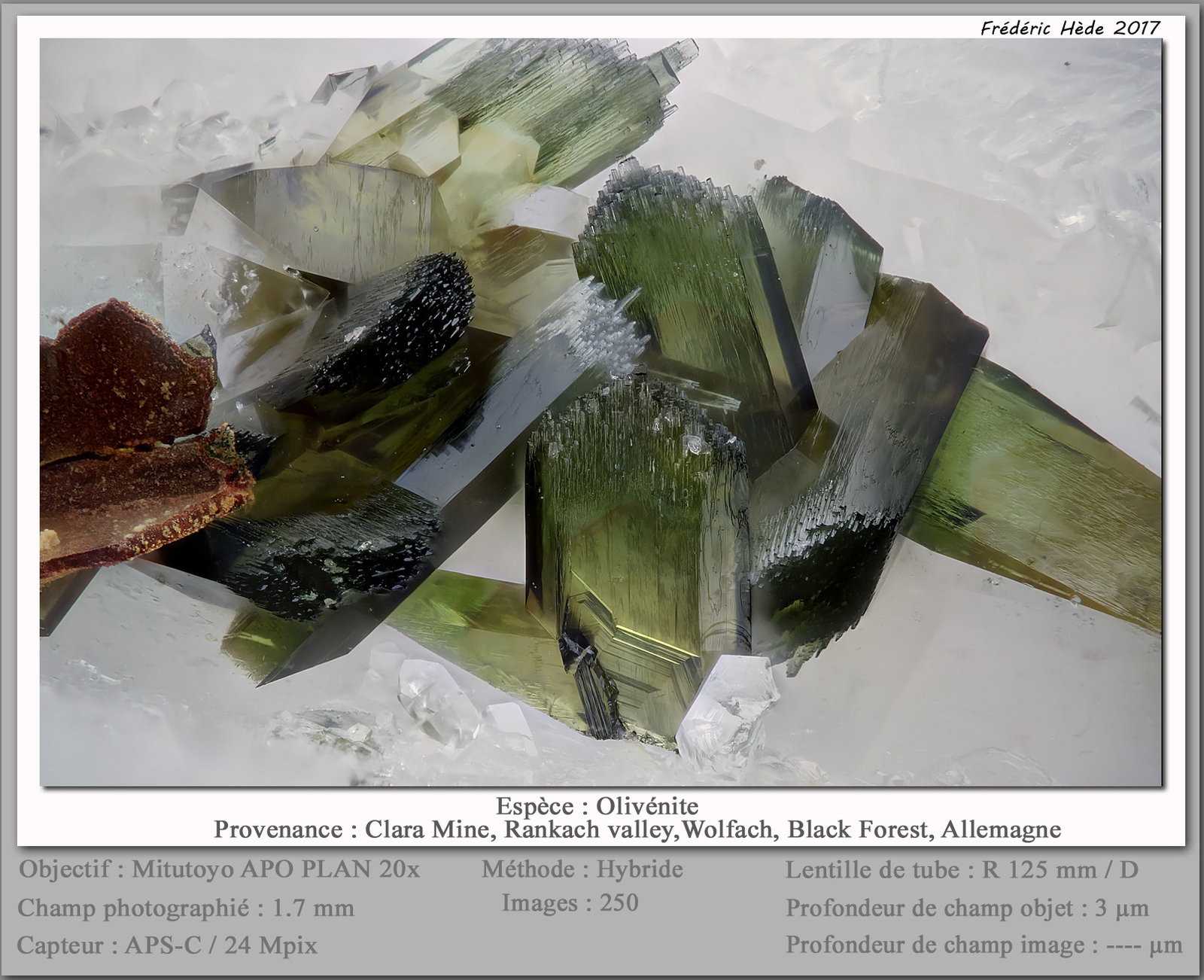 Olivenite
fov 1.7 mm
(Autor: ploum)