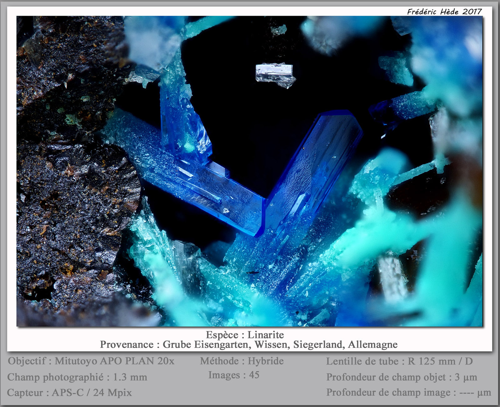 Linarite
fov 1.3 mm
(Autor: ploum)
