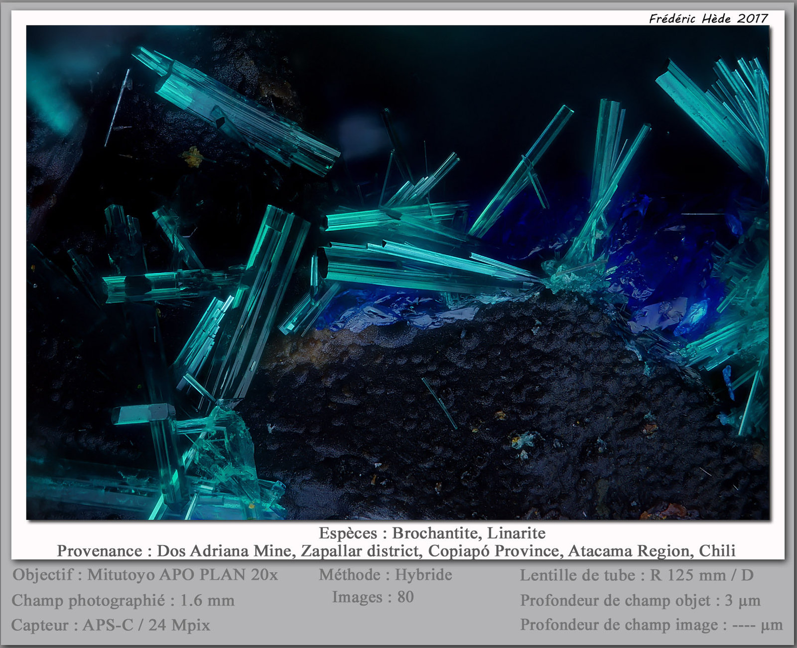 Brochantite
fov 1.6 mm
(Autor: ploum)