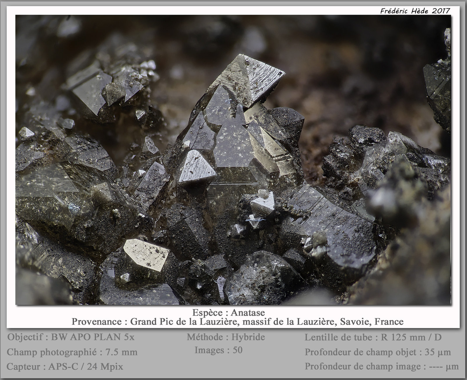 Anatase
fov 7.5 mm
(Autor: ploum)