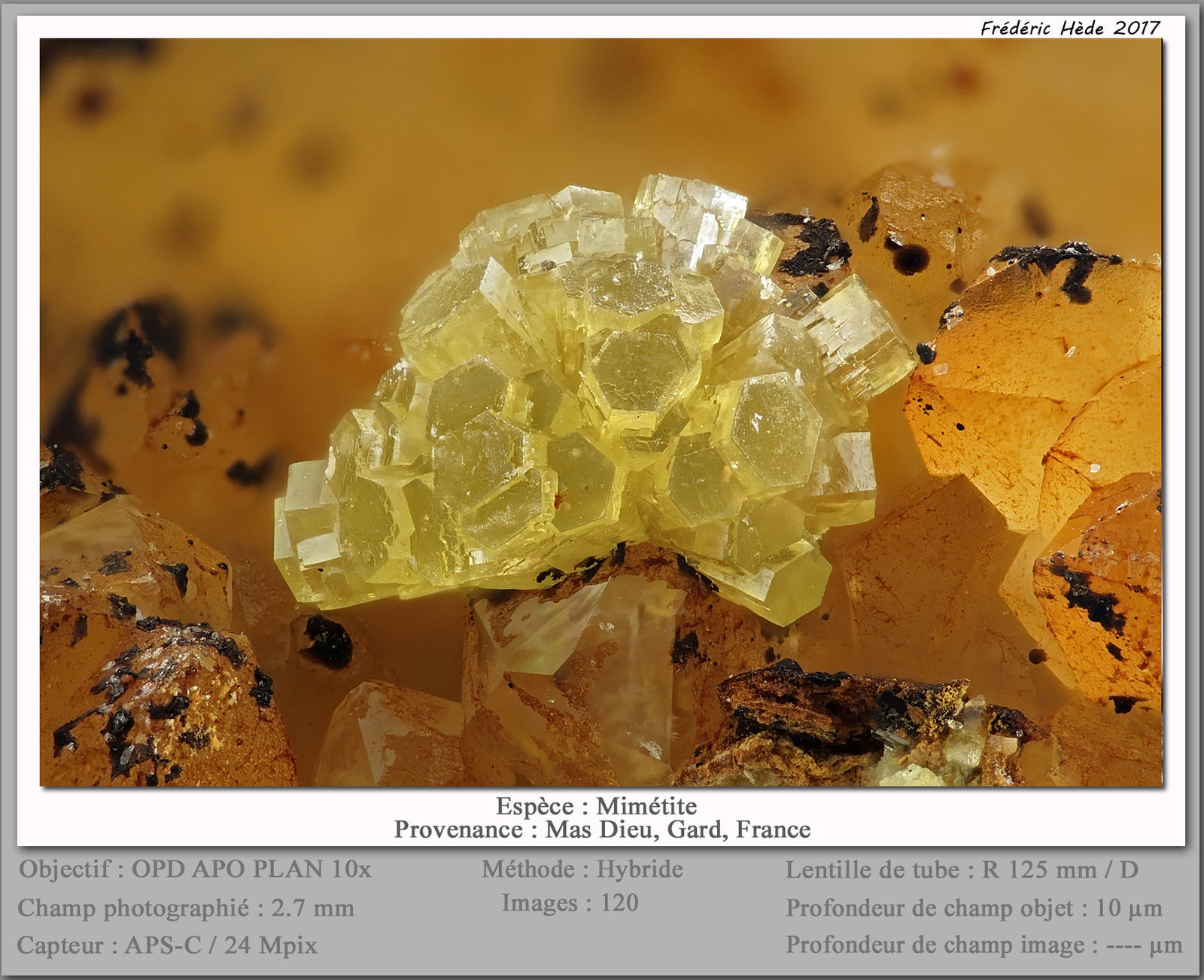 Mimetite
fov 2.7 mm
(Autor: ploum)
