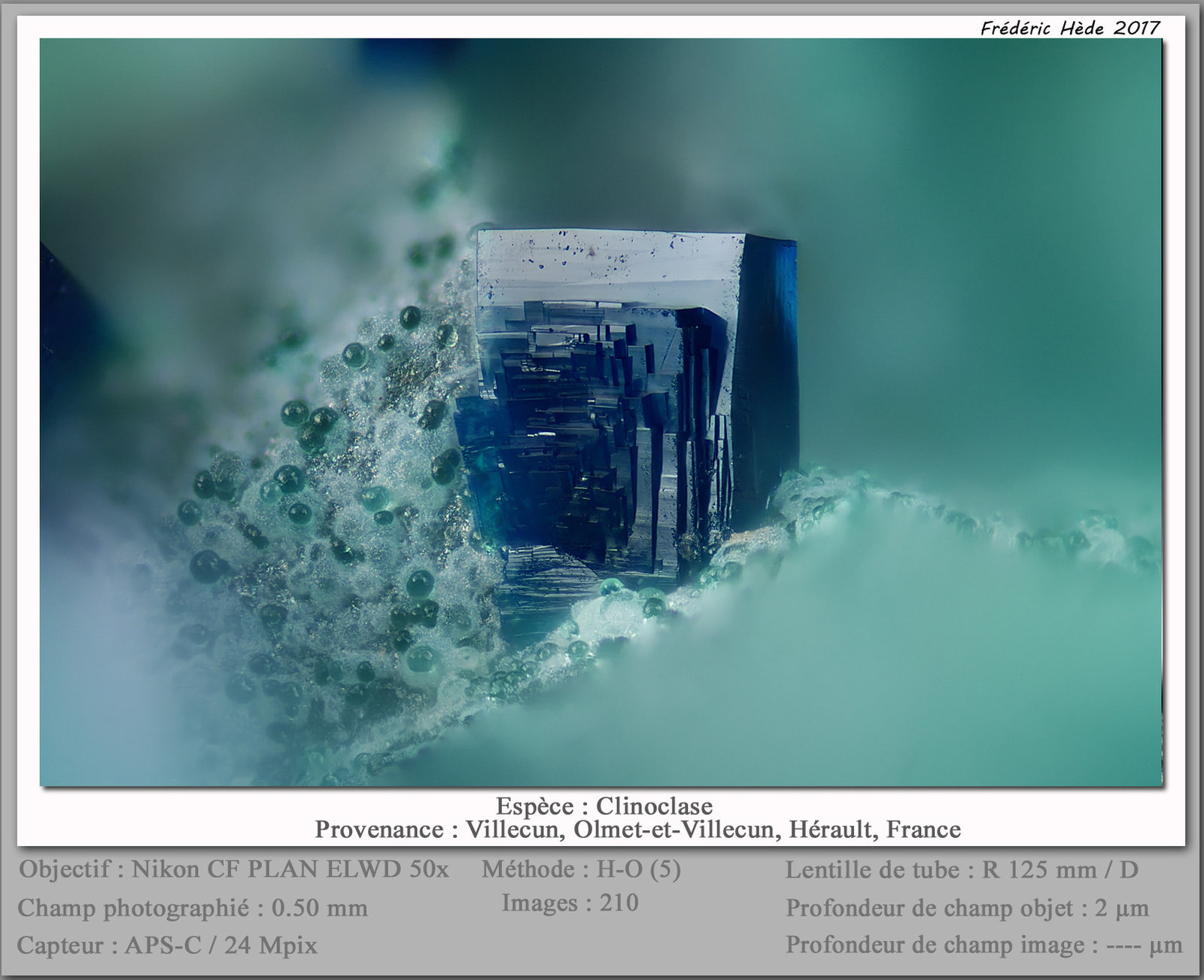 Clinoclase
fov 0.50 mm
(Autor: ploum)