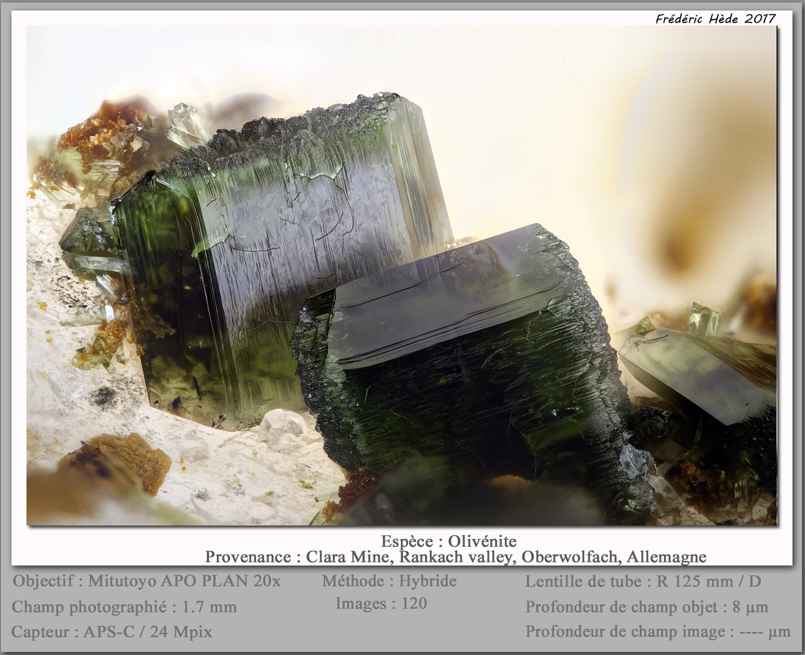 Olivenite
fov 1.7 mm
(Autor: ploum)