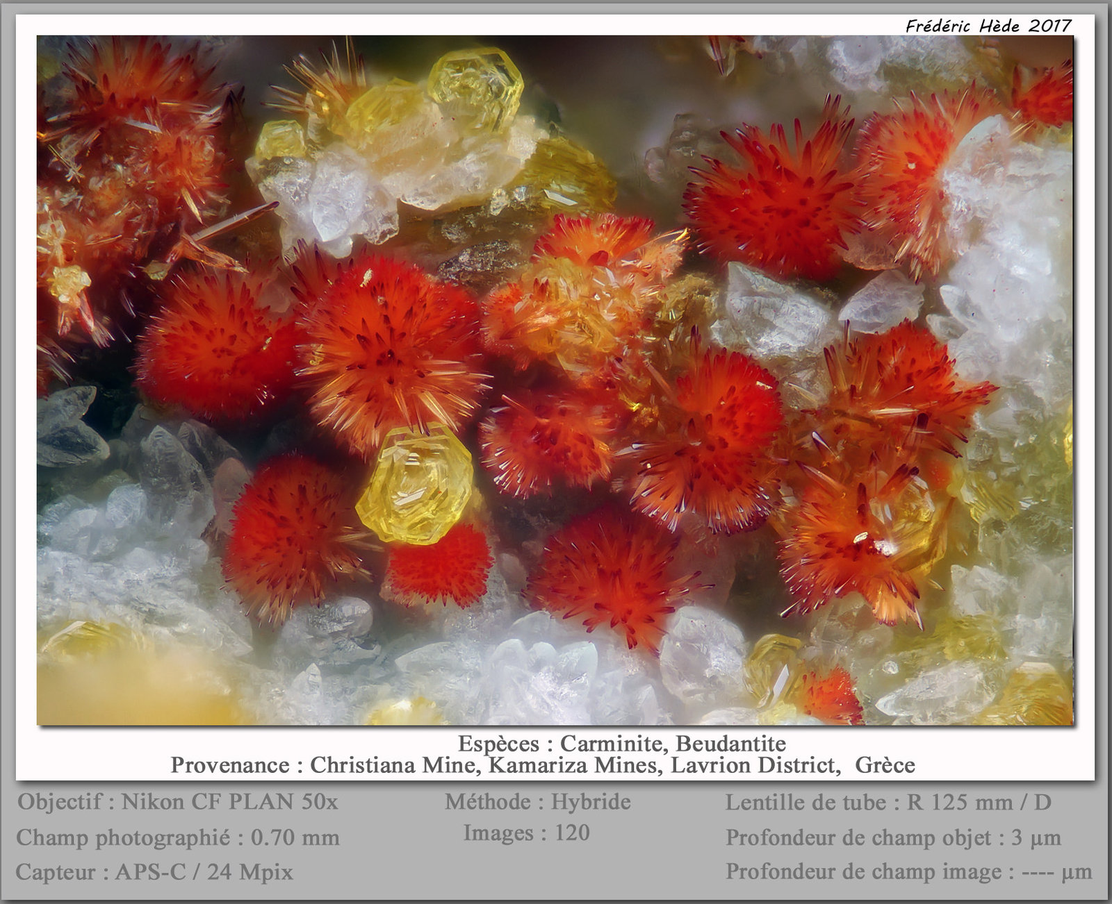 Carminite and Beudantite
fov 0.70 mm
(Autor: ploum)