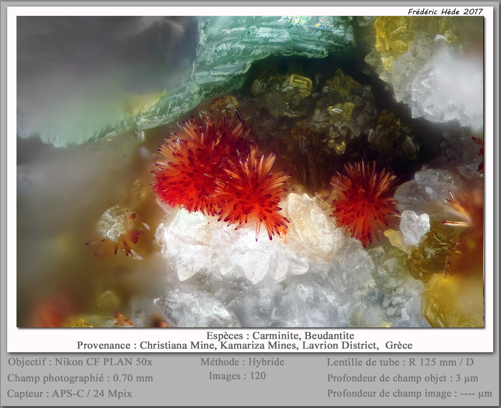 Carminite
fov 0.70 mm
(Autor: ploum)