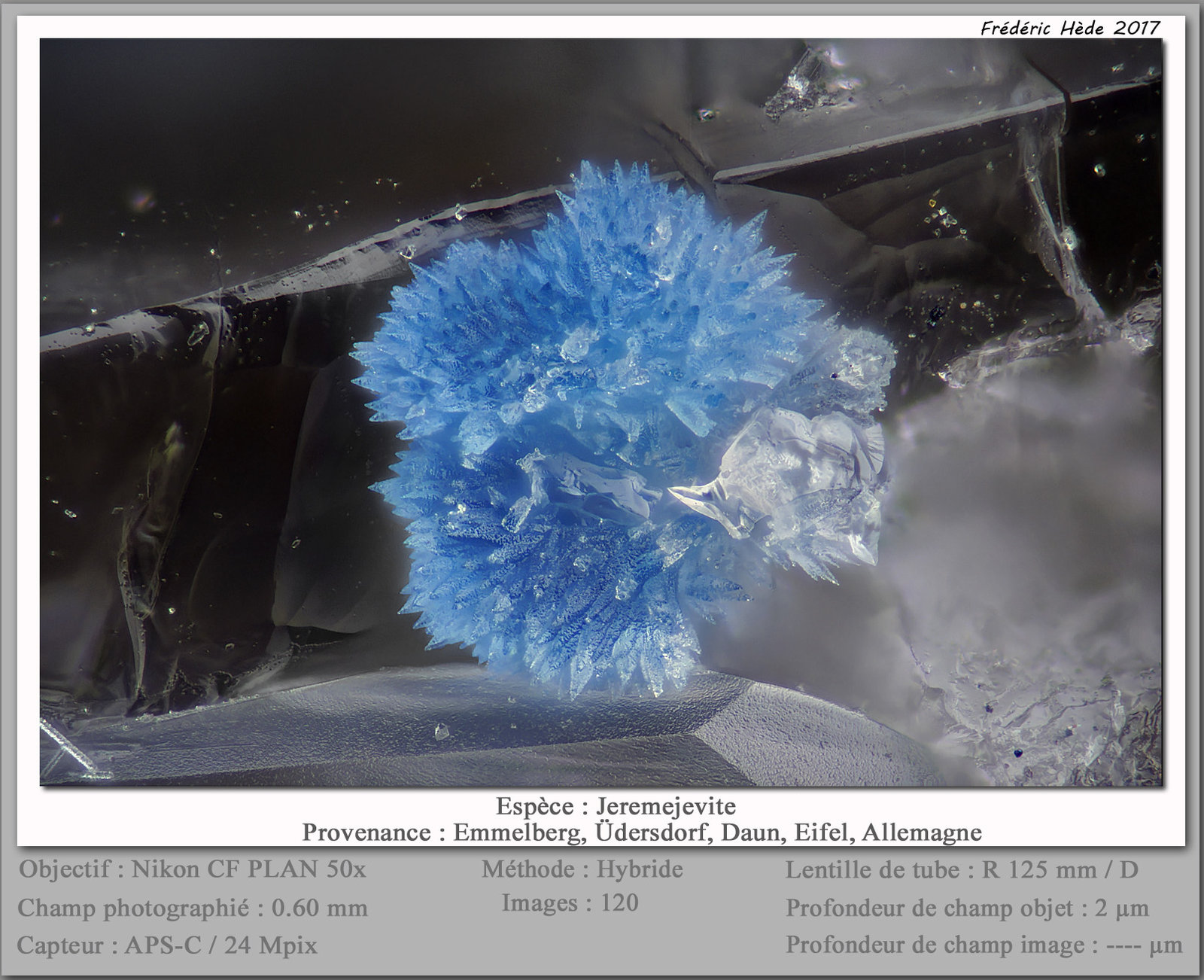 Jeremejevite
fov 0.60 mm
(Autor: ploum)