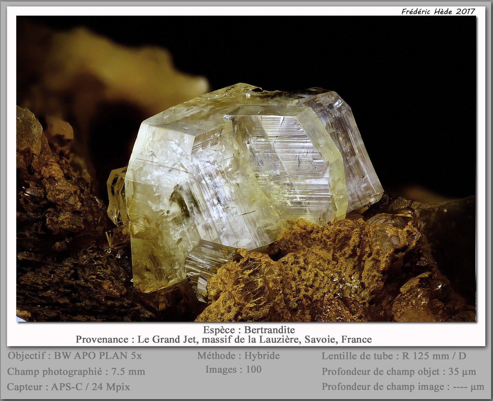 Bertrandite
fov 7.5 mm
(Autor: ploum)